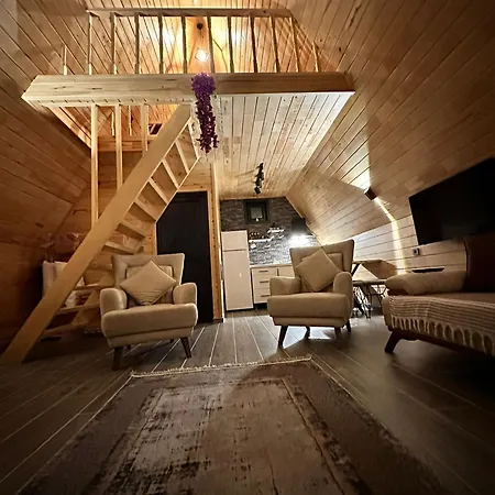 Bungalov Evleri Chalet *
